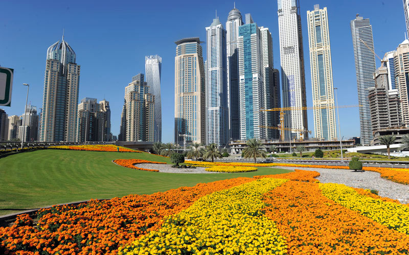 زهور الماري غولد بلونيها الأصفر والبرتقالي. من المصدر