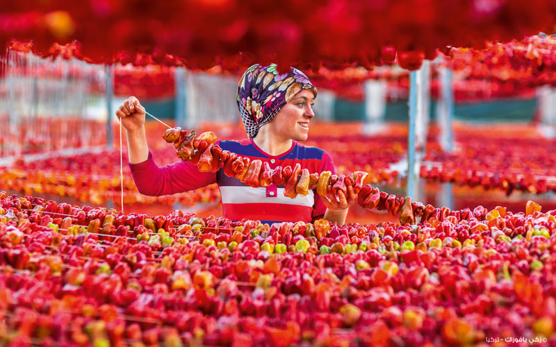 صفحة أسبوعية بالتعاون مع جائزة حمدان بن محمد بن راشد آل مكتوم الدولية للتصوير الضوئي.