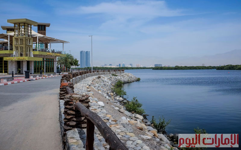 تصوير: أشوك فيرما