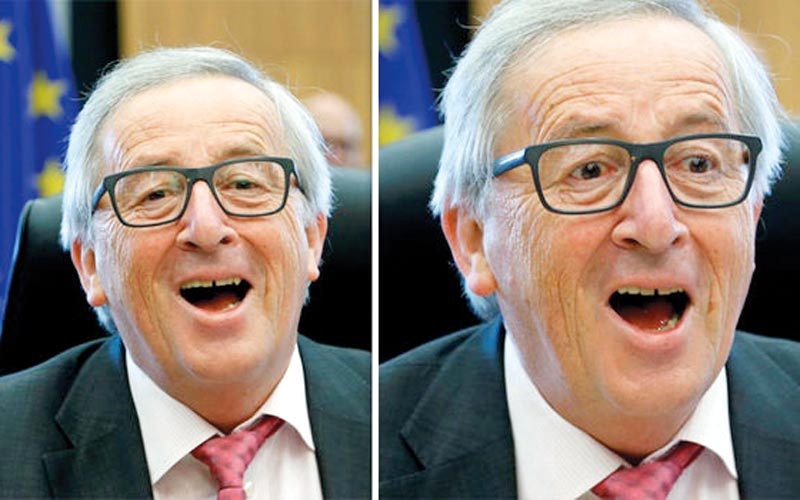 «يانكر» يتصف بشخصية مرحة. من المصدر