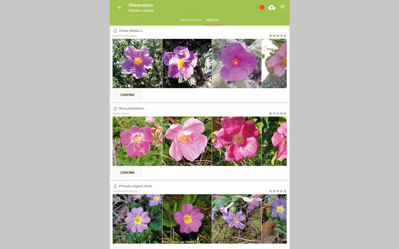 التطبيق مجاني ويعمل باللغة الإنجليزية. من المصدر